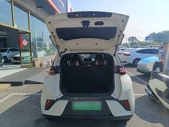 BYD Seagull 2025 Smart Driving Edition 305km Freedom Edition - ფოტო 19