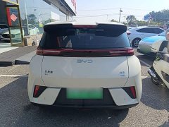 BYD Seagull 2025 Smart Driving Edition 305km Freedom Edition - ფოტო 6