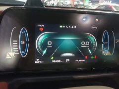 ORA Good Cat 401km Standard Range Deluxe Edition LFP Battery - ფოტო 8