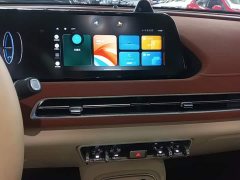 ORA Good Cat 401km Standard Range Deluxe Edition LFP Battery - ფოტო 9