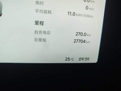 XPeng P7 2023 P7i 702 Pro - ფოტო 5