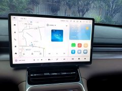 Wuling Xingguang S 130km Pilot Edition - ფოტო 13