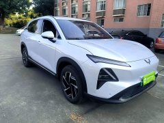Wuling Xingguang S 130km Pilot Edition - ფოტო 4