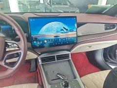 BYD Dolphin 2023 DM-i 1.5T 121km Premier - ფოტო 13