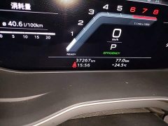 Audi A4L 40 TFSI Luxury Dynamic - ფოტო 17