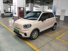 Leapmotor Leapo T03 Star Diamond Edition - ფოტო 2