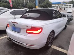 BMW 2 Series (Imported) 2019 225i Convertible Sports Design Package - ფოტო 7