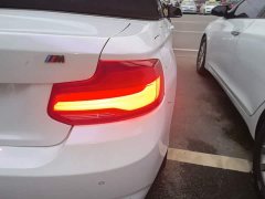 BMW 2 Series (Imported) 2019 225i Convertible Sports Design Package - ფოტო 8