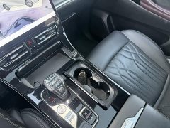 GAC Aion M8 Master Series 400T Prestige Edition - ფოტო 20