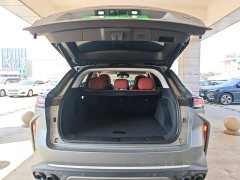 Changan 400T AWD Edition - ფოტო 19