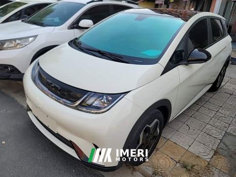 2022 BYD Dolphin 405km Fashion Edition