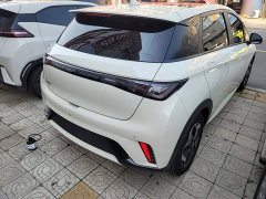 BYD Dolphin 405km Fashion Edition - ფოტო 7