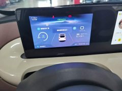 Wuling Binguo 333km Joy Edition - ფოტო 12