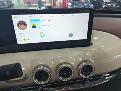 Wuling Binguo 333km Joy Edition - ფოტო 13