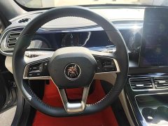 BYD Qin Plus 2021 DM-i 55KM Flagship - ფოტო 11