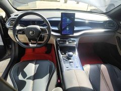BYD Qin Plus 2021 DM-i 55KM Flagship - ფოტო 13