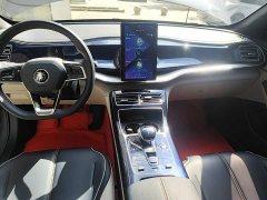 BYD Qin Plus 2021 DM-i 55KM Flagship - ფოტო 14