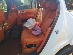 Li Auto L7 Pro - ფოტო 15