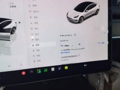 Tesla Model 3 2022 Rear-Wheel Drive - ფოტო 12