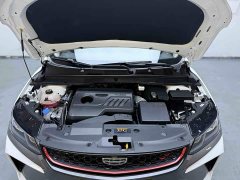 Geely Bingyue 1.4T DCT Diamond Edition - ფოტო 20