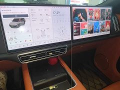 Li Auto L8 Pro - ფოტო 13