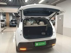 Zeekr MIX Long Range Smart Driving Edition - ფოტო 19