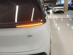 Zeekr MIX Long Range Smart Driving Edition - ფოტო 8