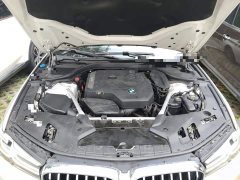 BMW 5 Series 530Li Premier Luxury Package - ფოტო 11