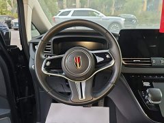 FAW Red Flag HQ9 PHEV 2.0T AWD Business Edition - photo 11