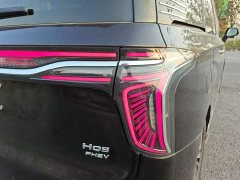 FAW Red Flag HQ9 PHEV 2.0T AWD Business Edition - photo 8