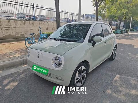 2021 ORA Black Cat 2022 405km Long Range Ternary Lithium - ავტომობილი ჩინეთიდან