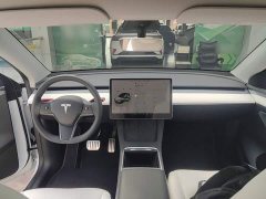 Tesla Model Y Performance All-Wheel Drive - ფოტო 10