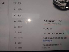 Tesla Model Y Performance All-Wheel Drive - ფოტო 12