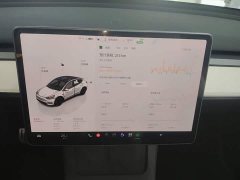 Tesla Model Y Performance All-Wheel Drive - ფოტო 13