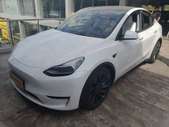 Tesla Model Y Performance All-Wheel Drive - ფოტო 2