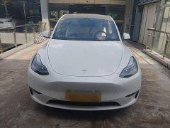 Tesla Model Y Performance All-Wheel Drive - ფოტო 3