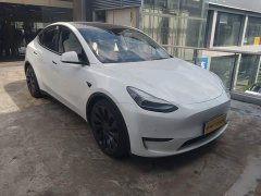 Tesla Model Y Performance All-Wheel Drive - ფოტო 4