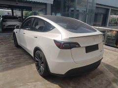 Tesla Model Y Performance All-Wheel Drive - ფოტო 5