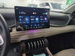 BYD Yuan Plus Glory Edition 430KM Transcend - ფოტო 13
