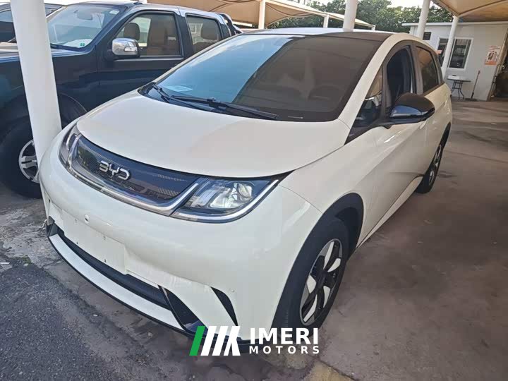 BYD Dolphin 2025 420km Fashion Edition - ავტომობილი ჩინეთიდან