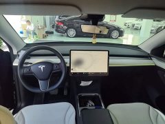 Tesla Model Y Rear-Wheel Drive - ფოტო 10