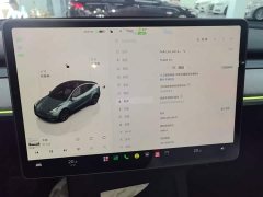 Tesla Model Y Rear-Wheel Drive - ფოტო 12