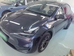 Tesla Model Y Rear-Wheel Drive - ფოტო 2