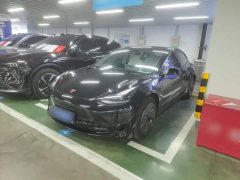Tesla Model 3 Standard Range RWD Upgrade 3D6 - ფოტო 1