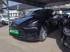 Tesla Model Y Rear-Wheel Drive - ფოტო 1