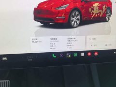 Tesla Model Y Rear-Wheel Drive - ფოტო 12