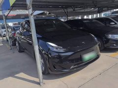 Tesla Model Y Rear-Wheel Drive - ფოტო 4
