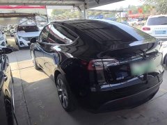 Tesla Model Y Rear-Wheel Drive - ფოტო 5