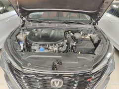 Changan Eado 2021 PLUS Blue Whale NE 1.4T GDI DCT Luxury - ფოტო 20