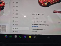 Tesla Model 3 Rear-Wheel Drive - ფოტო 12